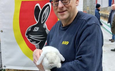 Hessenmeister mit Zwergwidder weiß Blauaugen