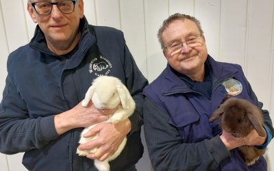 Große Erfolge bei Rassekaninchen-Landesschau in Kassel